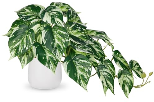Hollyone Artificial Plants in Ceramic Pots, Fake Jade Pothos Decorative Faux Potted Plants, Realistic House Plant Indoor for Home Décor, Bathroom, Living Room, Kitchen, Shelf, Office Decorations