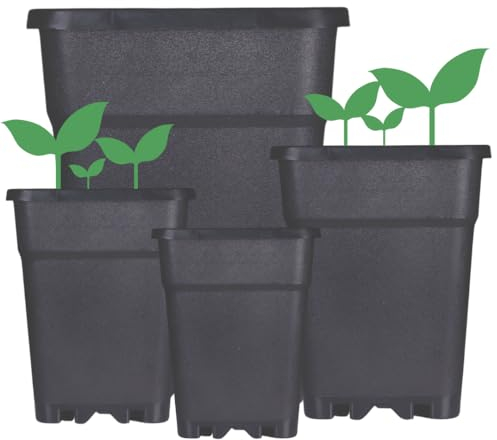 Weedness Blumentopf Kunststoff 25 Liter 34x34x34 cm Eckig Schwarz für Innen & Außen - Pflanzkübel Groß Pflanzen-Topf Pflanzgefäß Anzuchttopf Blumenkübel Balkon Garten Hoch XXL