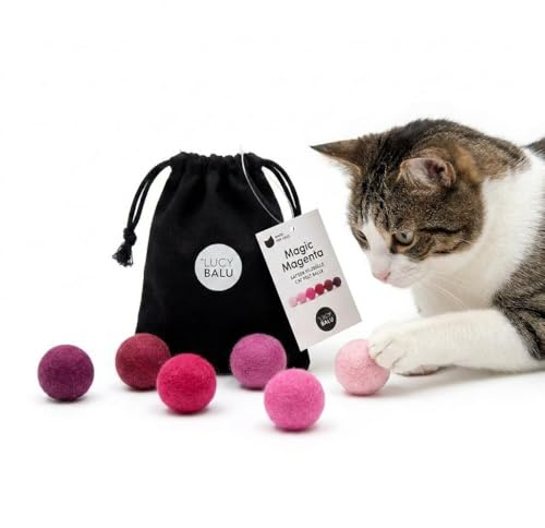 LucyBalu® Viva Lot de 6 balles en Feutre Laine pour Chat I Magenta