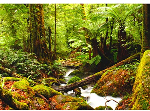 Runa Art Fototapete Wald Fluss Modern Vlies Wohnzimmer Schlafzimmer - Made in Germany - 308 x 220 cm Grün 9037010b