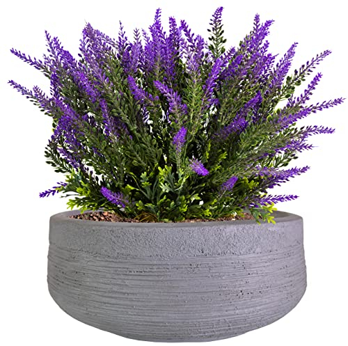 IDEALIST 12 Inch Garden Bowl Planter | Bonsai Pot with Drainage Holes | Ribbed Grey Reinforced Stone Succulent Plant Pot D31 H12 cm, with Inner Top D27 cm, 6 litres