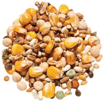 Countrywide Super Widowhood Pigeon Feed Mix, 20 kg