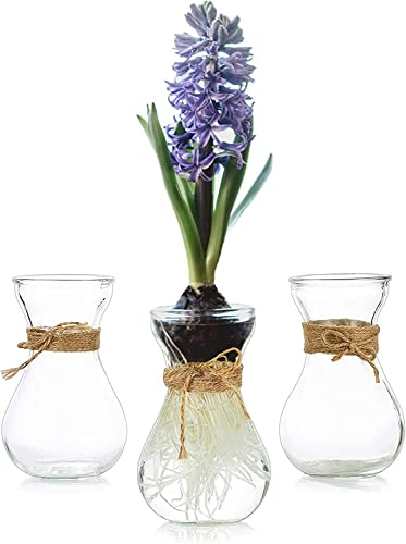 Kleine Vasen Für Tischdeko 3er, Hewory Vase Glas Blumenvase Klein Glasvase Mit Schnurseil, Mini Vasen Set Hydroponik Glasvasen Für Wohnzimmer Deko Modern Hochzeitsdeko Tisch Transparent
