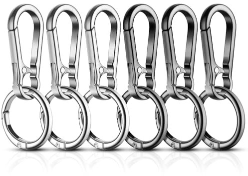 flintronic 6 Stück Karabiner Schlüsselanhänger, Karabiner Schlüsselanhänger Metall, Abnehmbare Karabinerhaken, Kleiner Karabiner für Autoschlüssel, Rucksack, Camping, Reisen (Schwarz+Silber)