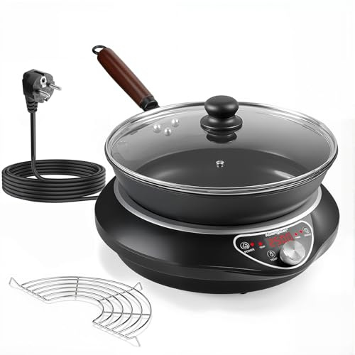 Abangdun Placa de inducción con Wok, 2500W Placa Inducción Portátil 12 Niveles de Potencia 200W-2500W Rango de Temperatura 60-240°C, Pantalla LED, Temporizador de 18 Horas, 190-275V(Negro)