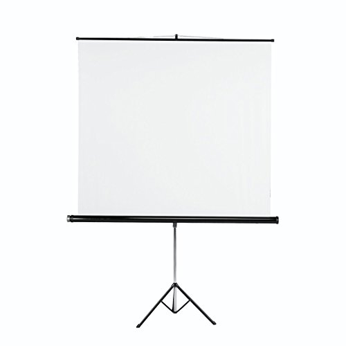 Hama Stativ-Projektionswand 125, Weiß, 00018790, 125 x 125 cm