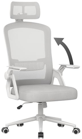 naspaluro Ergonomic Office Chair, Desk Chairs with Headrest, Height Adjustable Computer Executive Work Chair, Swivel Mesh Chair with 90° Flip-up Armrest & Lumbar Support for Home/Office-Grey