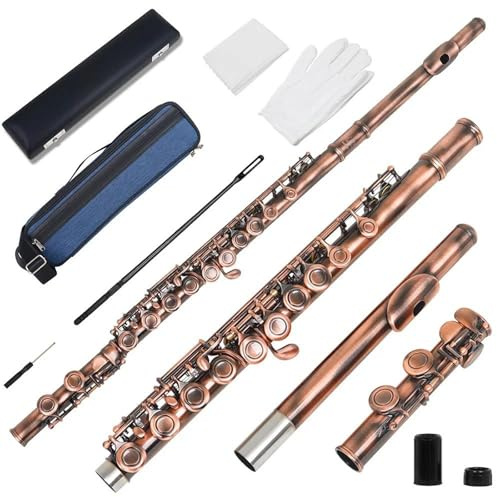 tvärflöjt instrument 16 Stängda Hål Flöjt C-nyckel Professionell Tvärflöjt Med Box Cloth Stick Handskar Konsertmusikinstrument(B)