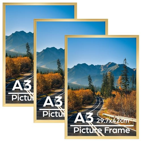 Vasemouh A3 Picture Frame Pack of 3, A3 Gold Frame for Horizontal or Vertical Wall Hanging for 29.7x42cm Posters, Prints, Artwork