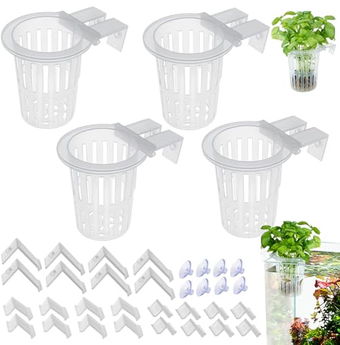 Rierousy porta piante per acquario con ventose, vaso per piante acquario per Acquaponiche Coltivazione da Paesaggio Acquatiche