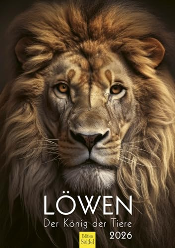 Edition Seidel Calendario premium León El Rey de los Animales 2026, formato DIN A3, calendario de pared, calendario de animales, África, animales salvajes, depredador, gato, león, gato grande, león