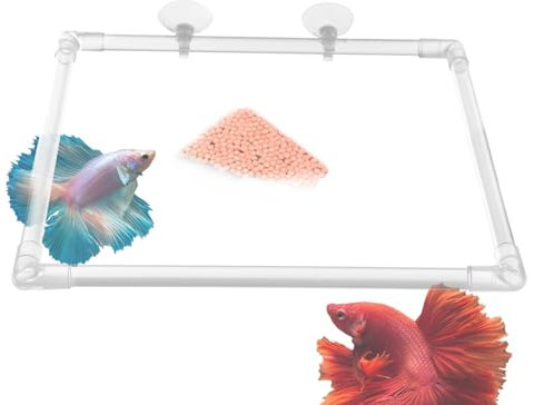 Anillo de alimentación de acuario, anillos de plantas alimentador de peces, comedero de acuario con ventosas, comedero de pecera acrílico para plantas, accesorios para peceras