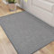 DEXI Schmutzfangmatte Innen 81 x 122 cm, rutschfest Fußmatte waschbar, absorbierend Fussmatte, Dünne Türmatte Eingangsteppich für Haustür & Flur, Grau