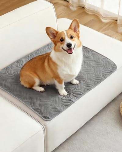 VICBINLY wasserdichte Hundedecke Sofaschutz, Autoschondecke für Haustiere Hundedecke Outdoor Robuste Hundematte als Schutz für Sofa & Bett rutschfeste Unterseite 80 x 60 cm - Grau CTH015G