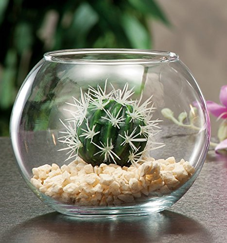 Progetti in Fiore Vaso in Vetro Trasparente Aria, Diametro 12 cm x altezza 10 cm