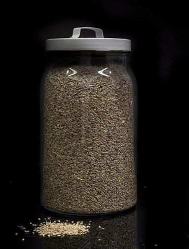 Hinojo Semillas a Granel 1000g - Especias Naturales para Cocina Saludable