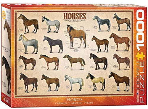 EuroGraphics 6000-0078 Horses Puzzle, Various, 48 x 68 cm