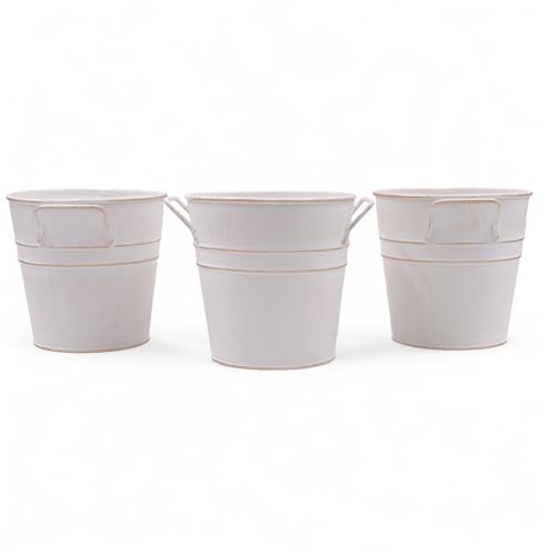 Hosley Set of 3 Whitewash Metal Bucket with PVC Liner, 5-Inch Height Plant Pot, Ideal for Floral Arrangements, Wedding, Home Office, Party, Garden Patio, DIY Indoor, Outdoor Garden.