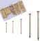 OMOTOOL Nägel Sortiment Set (300 Stück), vermessingte Nägel zum Aufhängen von Bildern, kleine Nägel für wand ，5 Größen Sortiment