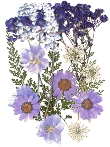 Fiori Essiccati Decorativi, Stabilizzati, Pressati per Bomboniere - Elegante Bouquet Viola, 18 Fiori