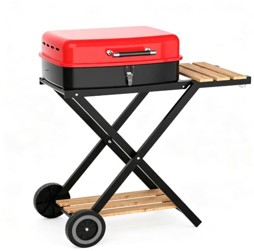 TEENO Barbacoa Carbón vegetal Portátil