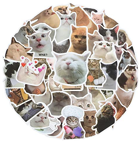 cobee Lustiges Katzen Aufkleber Set, 50 Stück, süße Katzen Aufkleber wasserfeste Vinyl Aufkleber ästhetische Aufkleber für Katzenliebhaber Wasserflaschen Sammelalbum Telefon (Katzenform)