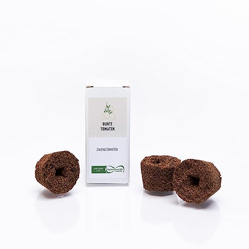 simplePlant, simpleCups, Bunte Tomaten, 100% kompostierbare Wachstumsschwämme, Bio-Pflanzen für Hydroponisches Anzuchtsystem, 3 Pflanzen