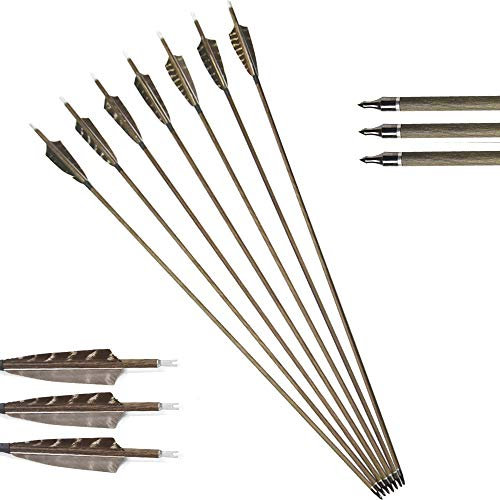 ZSHJG 30 Zoll Carbon Pfeile Pfeile für Bogenschießen Spine 350 Bogenpfeile Jagdpfeile für Bogensport Recurvebogen und Compoindbogen Carbon Bogenpfeile mit Naturfedern (12pcs)