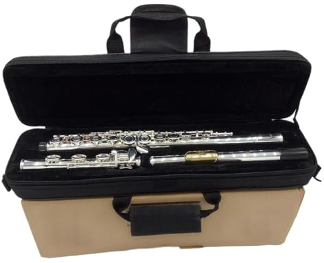 tvärflöjt instrument Flöjt professionellt flöjtinstrument 16 hål