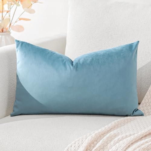 Artscope Samt Kissenbezug Kissenhülle Dekorative Dekokissen Sofakissen Lendenkissen Wurfkissenbezug Sofa Schlafzimmer 40x60cm Hellblau