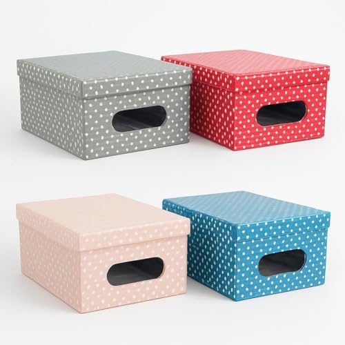 DANYX Set 4 Scatole Portaoggetti con Coperchio e Finestra – Contenitori Pieghevoli in Pvc Decorato, Salvaspazio per Armadio, Vestiti, Cameretta, Ripostiglio (Multicolor1)