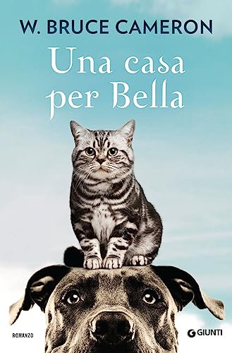 Giunti Psychometrics