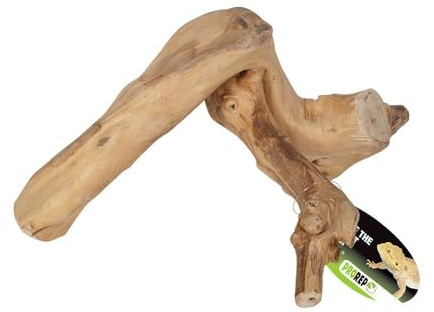 ProRep Jakarta Reptile Branch Small | Natural Coffee Wood Climbing Branch | Arboreal Vivarium & Terrarium Decor | Basking & Enrichment Accessory | Approx. 250mm