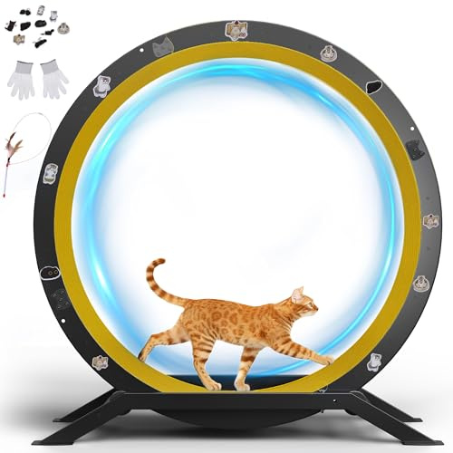 GTPLAYER Katthjul, kattträningshjul, XL - 100 cm, ultratyst med avtagbar matta, klistermärken, låsningssystem, metall, gul, presenter till dina katter