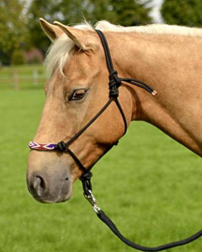 Wildhorn Knotenhalfter Indian Spirit (schwarz, Warmblut)