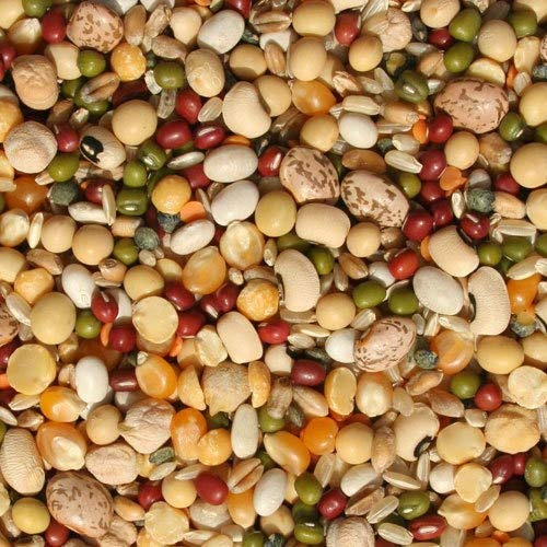 Tidymix Pulse & Rice Soaking Premium Parrot Food (4 kg) - For Medium to Large Birds