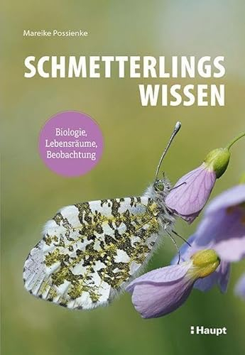 Schmetterlingswissen: Biologie, Lebensräume, Beobachtung