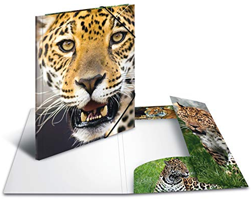 HERMA Sammelmappe A4 Leopard, Kinder Eckspanner-Mappe aus Kunststoff mit Tier Motiv, Gummizug, Innenklappen und Innendruck für Jungen und Mädchen