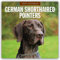 German Shorthaired Pointers 2025 Square Wall Calendar