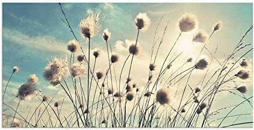 ARTland Wanddeko Wandbild Alu Verbundplatte für Innen & Outdoor Bild 100x50 cm Blumen Blüten Botanik Gräser Wollgras Himmel Sonne Wolken Frühling T2GI