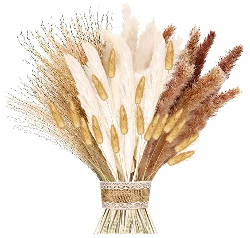 Pampasgras Getrocknet, 41 Stück Set Natürliche Trockenblumen, 17inch Pampasgras Groß, Braun Weiß Pampasgras Flauschige Wedel, Lagurus und Schilfblume Getrocknete Blumen für Boho Deko, Heim Decor