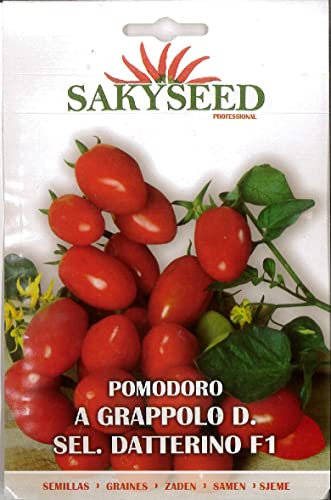 SEMI SEMENTI DI POMODDORO A GRAPPOLO D. SEL DATTERINO F1