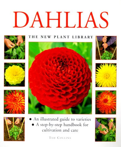 Dahlias (New Plant Library)