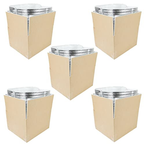 STRBOXONG Thermo Chill Double Insulated Carton with Foil Insulated Bag Liner, Cold Shipping Box for Frozen Food, Cooler Moving Box for Posting, Small Parcel Postage Mailing 300x245x195mm
