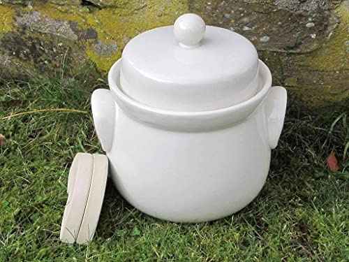 Mini vaso di fermentazione (grè)