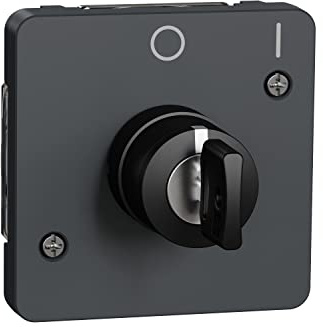 Schneider Electric MUR35062 Schlüsselschalter, 2 Positionen, Grau