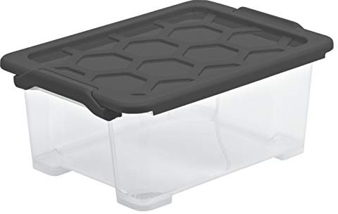 Rotho Evo Safe Keeping Scatola di Stoccaggio con Coperchio, Plastica (PP) senza BPA, Grigio (Antracite), 11 L, 39.3 x 28.3 x 16.0 cm