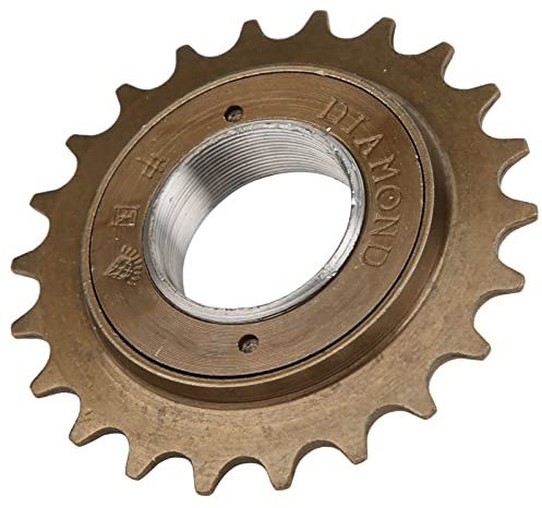 VBESTLIFE Ruota Libera per Bici a velocità Singola, 1 Pezzo per Bicicletta a Basso Rumore Resistente alla Corrosione a 22 Denti per Bicicletta Modificata