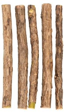 PETLIMA® | 5 x Matatabi Sticks - Natürliche Zahnpflege für Katzen, reduziert Zahnbeläge & Zahnstein, Katzenspielzeug mit ätherischen Ölen, luftdicht verpackt für langanhaltende Frische
