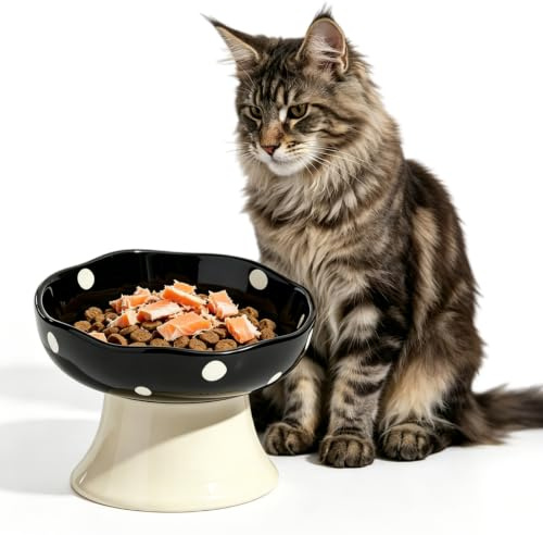 Cuenco para gatos elevado, de cerámica, con soporte, en forma de seta, cuenco plano para gatos, diseño de 15°, comedero para gatos, comedero de agua para gatos y perros pequeños (negro)